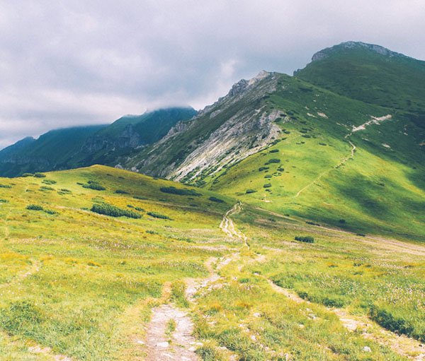 DDOS在线攻击平台