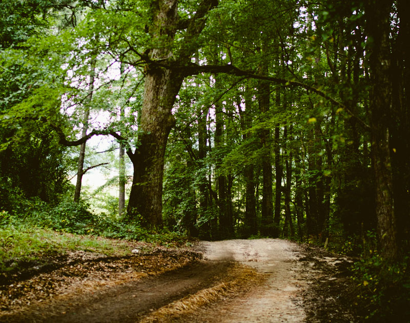 发卡网推荐的网络ddos攻击软件